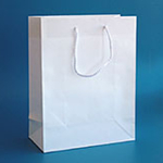 Paper Bag Art Carton dan Kraft